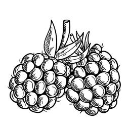 Bramble Life Logo